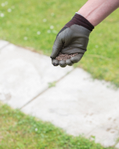 Image of lawn being fertilised.