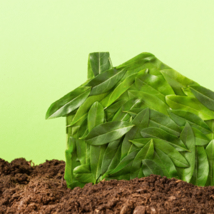 Eco-Friendly Yard