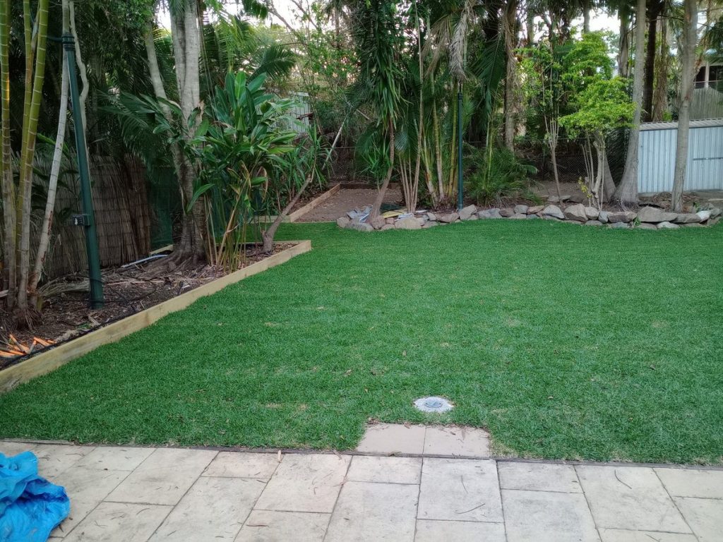 The finished lawn.