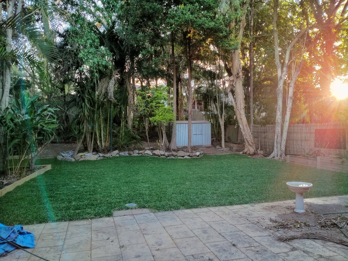 After: the new lawn from the same spot on the patio.