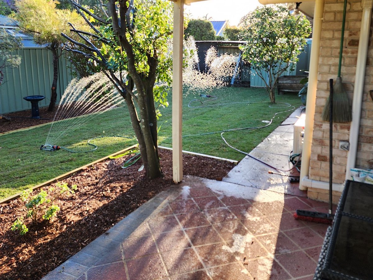 After: new lawn and edged garden beds from the same spot.
