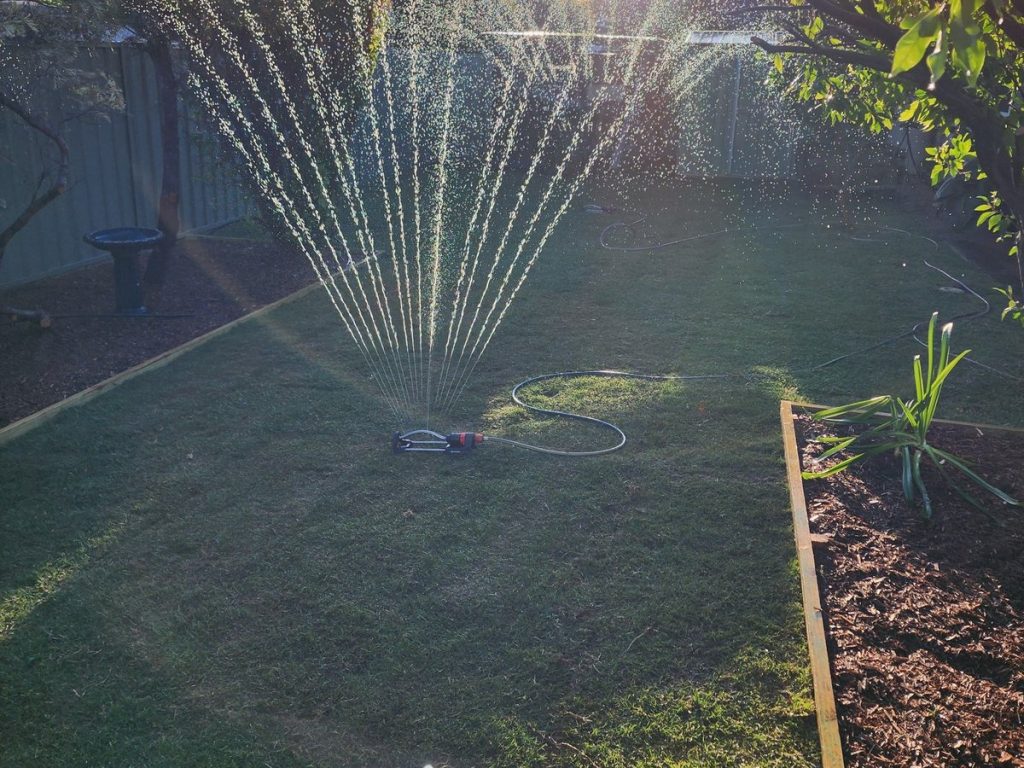 First watering of the new lawn at sunset.