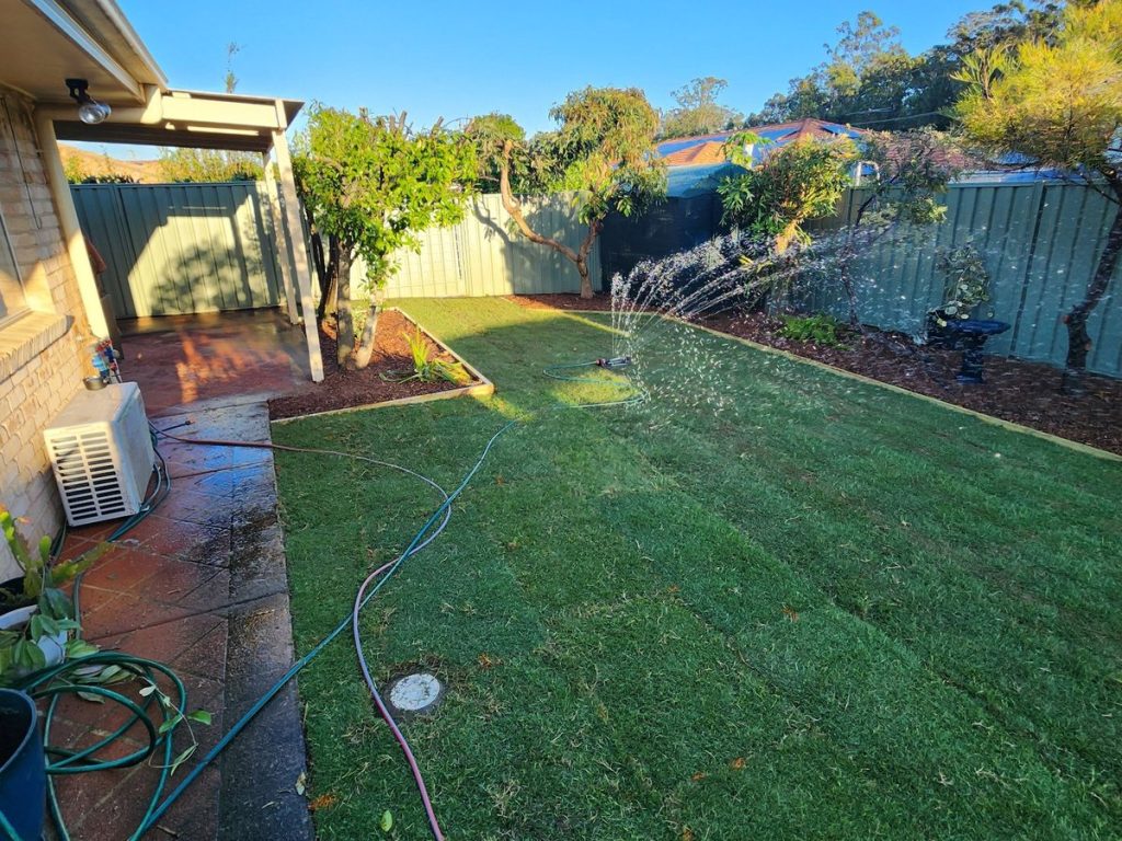 New turf laid over the whole yard.